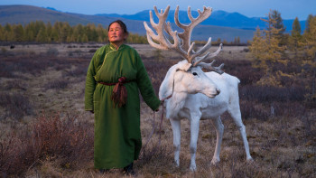 Spirit Moose