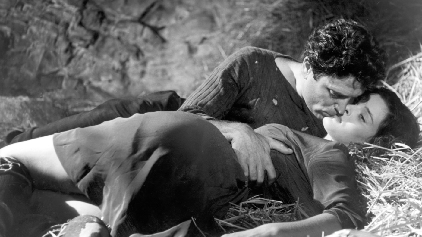 No Peace Under the Olive Tree