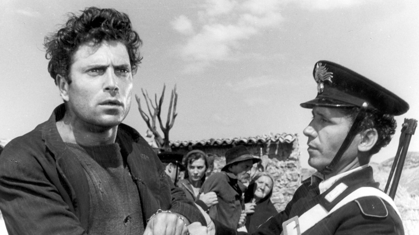 No Peace Under the Olive Tree